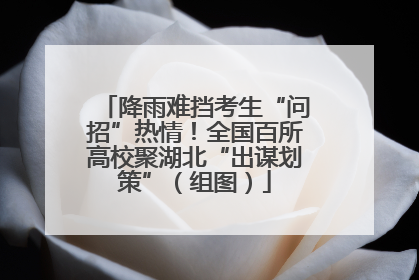 降雨难挡考生“问招”热情！全国百所高校聚湖北“出谋划策”（组图）